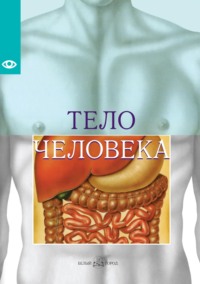 Тело человека