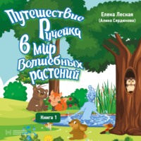 Путешествие Ручейка в мир волшебных растений. Книга 1