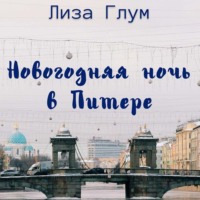 Новогодняя ночь в Питере