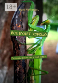 Все будет хорошо. Рассказы из жизни и про жизнь