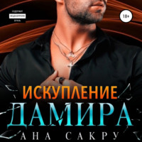 Искупление Дамира