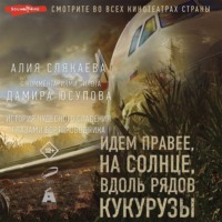 Идем правее, на солнце, вдоль рядов кукурузы. История чудесного спасения глазами бортпроводника