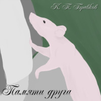 Памяти друга