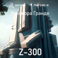 Z-300