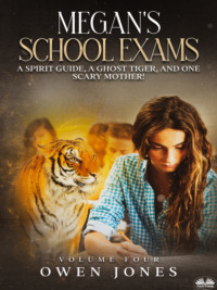 Megan's School Exams