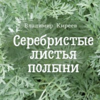 Серебристые листья полыни