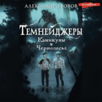 Темнейджеры. Каникулы в Чернолесье