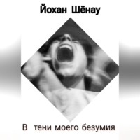 В тени моего безумия