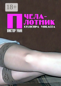Пчела-плотник. Xylocopa violacea