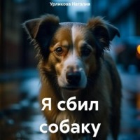 Я сбил собаку