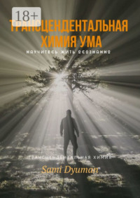 Трансцендентальная химия ума