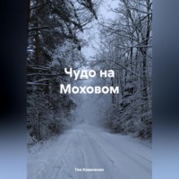 Чудо на Моховом