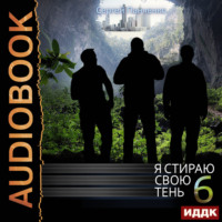 Я стираю свою тень. Книга 6