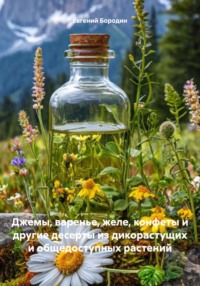 Джемы, варенье, желе, конфеты и другие десерты из дикорастущих и общедоступных растений