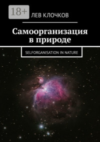 Самоорганизация в природе. Selforganisation in Nature