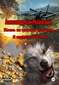 Жизнь из грязных кусочков... Я создал себе сам!