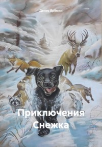 Приключения Снежка