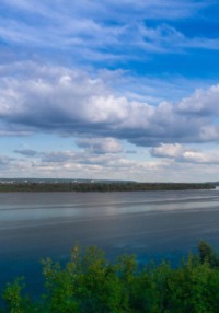 Круиз золотой рыбки