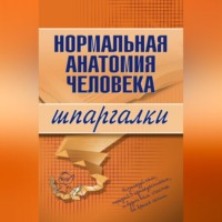 Нормальная анатомия человека