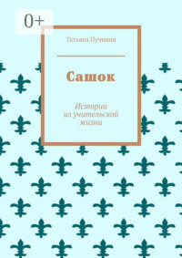 Сашок. Истории из учительской жизни