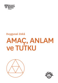 ANLAM, AMAÇ VE TUTKU - DZ
