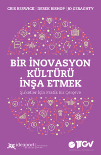 BİR İNOVASYON KÜLTÜRÜ İNŞA ETMEK
