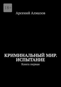 Криминальный мир. Испытание. Книга первая