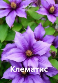 Клематис