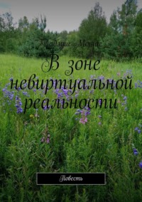 В зоне невиртуальной реальности. Повесть
