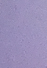 Создай империю или умри. Дно – опора. Ниже ад. Москва поймет