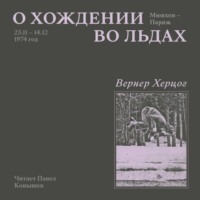 О хождении во льдах