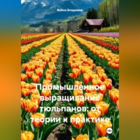 Промышленное выращивание тюльпанов: от теории к практике.