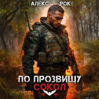 По прозвищу «Сокол». Том 1