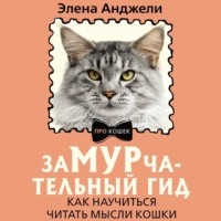 ЗаМУРчательный гид. Как научиться читать мысли кошки