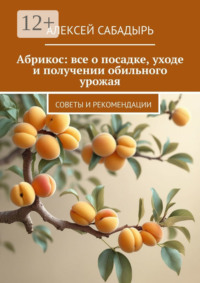 Абрикос: все о посадке, уходе и получении обильного урожая. Советы и рекомендации