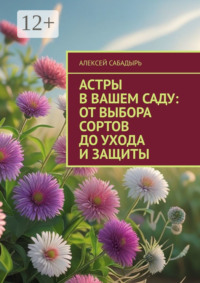 Астры в вашем саду: от выбора сортов до ухода и защиты