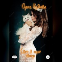 Свет в окне твоем