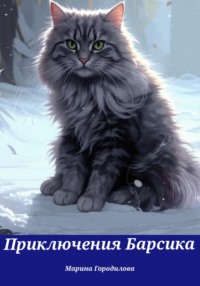 Приключения Барсика