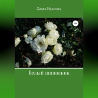 Белый шиповник