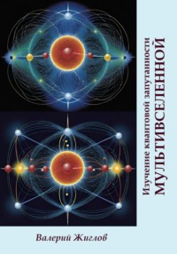 Изучение квантовой запутанности Мультивселенной