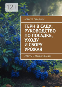 Терн в саду: руководство по посадке, уходу и сбору урожая. Советы и рекомендации