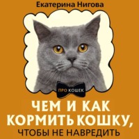 Чем и как кормить кошку, чтобы не навредить