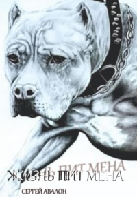 Жизнь Пит мена