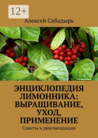 Энциклопедия лимонника: выращивание, уход, применение. Советы и рекомендации