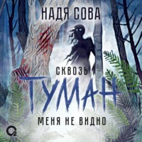 Сквозь туман меня не видно
