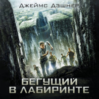 Бегущий в Лабиринте