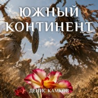 Южный континент