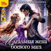 Идельная жена боевого мага