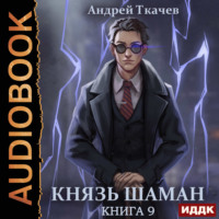 Князь шаман. Книга 9