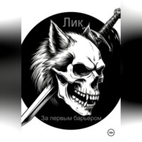 За первым барьером.